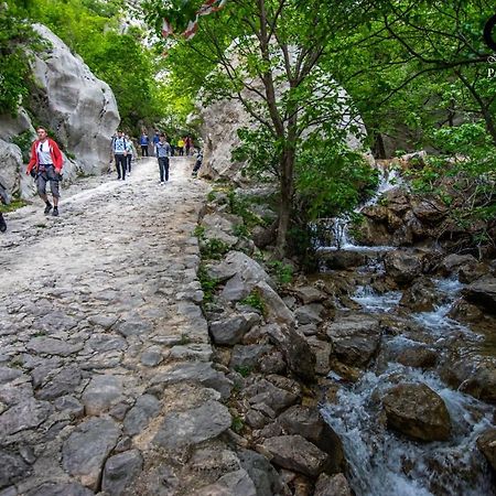 Apartment Maca Starigrad Paklenica Luaran gambar